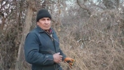 Ҷанҷол барои дарахт то ба додгоҳи Ғафуров рафт
