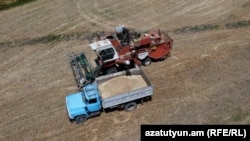 Գյուղատնտեսական աշխատանքներ Շիրակի մարզում, 2022թ․