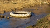 Білогірське водосховище. Ілюстративне фото