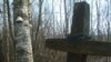 Image result for "Яны Паляковай"