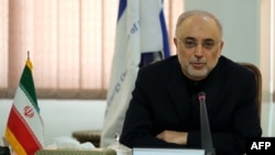علی‌اکبر صالحی، رییس سازمان انرژی اتمی ایران