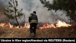 Йдеться про пожежу в Андріївському лісовому урочищі (фото ілюстраційне)