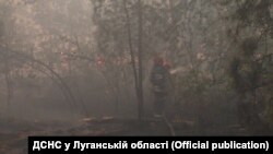 Синоптики попереджають про небезпеку лісових пожеж