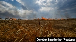 Поля із зерном продовжують горіти від обстрілів 