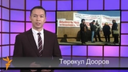 Видео жаңылыктар, 22-ноябрь, 2013