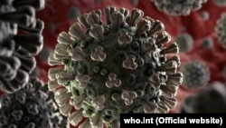 Koronavirus