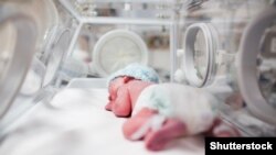 Експерти наголошують, що зафіксований бебі-бум не є наслідком локдауну чи самоізоляції