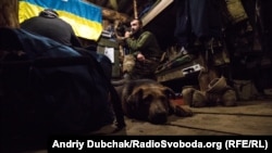 Бліндаж на позиції українських військових у посадках під містом Попасна, Луганська область