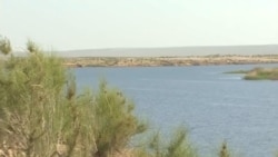 Aşgabatda geçirilen maslahatda 'suw meseleleriniň halkara hyzmatdaşlygyny talap edýändigi' nygtaldy
