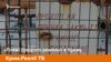 «Пляжі суворого режиму» в Криму | Крим.Реалії ТБ (відео)