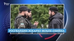 Ниццера зулам, Нохчийчуьра эскархо лацар, хьарам эцна ахча
