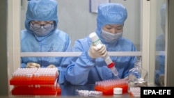 پژوهشها بر ویروس کرونای تازه، مبدا آن، و واکسن برای مقابله با آن ادامه دارد