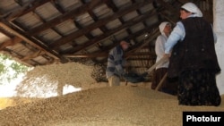 Armenia - Workers at a wheat storage facility in Shirak province, 1Aug2012.