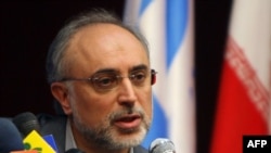 علی‌اکبر صالحی، رئیس سازمان انرژی اتمی ایران