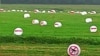 Image result for Суднік
