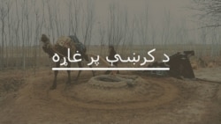 قبايلي ضلعو کې د ۵۲ فيصده کسانو د لیک لوست نه کولو لاملونه او حل؟