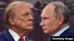 Donald Tramp və Vladimir Putin